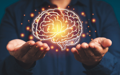 The Myth of the “Set and Forget” AI System.